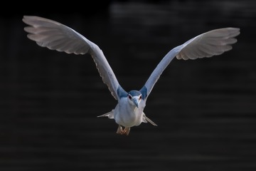 15788