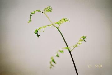 D477A162-8287-4B28-B13E-8A1928FB6114/L0/001