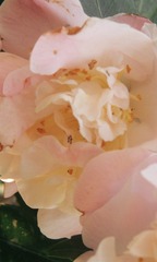 964A7095-F2DE-48F6-98B3-0CB05A2C7579/L0/001