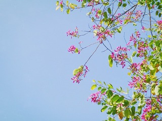 C8E05598-66AC-4E51-B6BA-1ED28A195CDE/L0/001