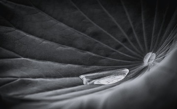 581659