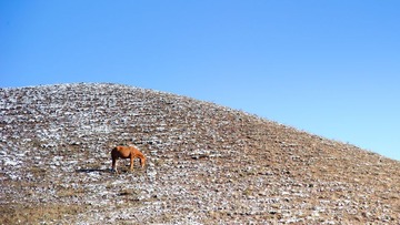 ECL_6621