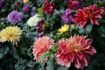 7E9ED95F-60EA-4983-8292-1474CEB255BB/L0/001