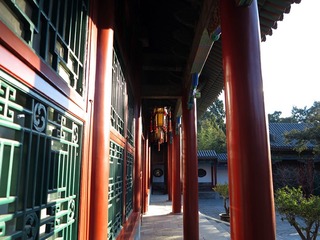 IMG_2969__