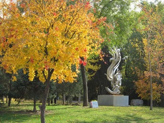 IMG_0044_