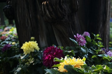 46CF4367-D46B-483B-BB45-0787EA1826E6/L0/001