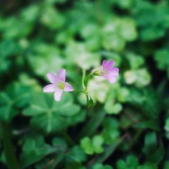 DSC_00072221.jpg