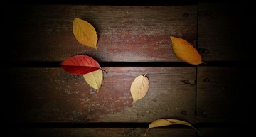 WP_20131031_037_