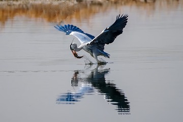 85658