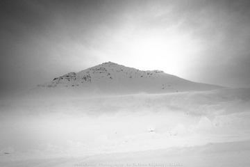 _TE_6713-1.jpg