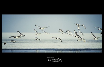 我在，北纬36.27，东经100.61