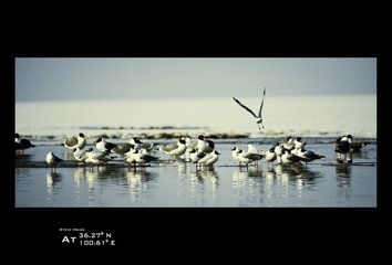 我在，北纬36.27，东经100.61
