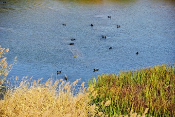 IMG_1457-1
