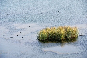 IMG_1499-1