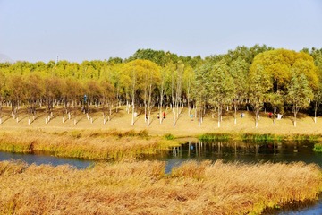 IMG_1506-1