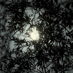 午夜的月亮，午夜的太阳