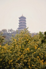 955672CF-B576-46C6-AB06-12F0B6F11AE3/L0/001