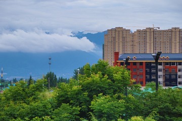320096