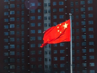 阳光下