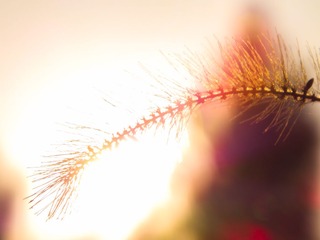 S0090105