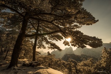 黄山.徽光