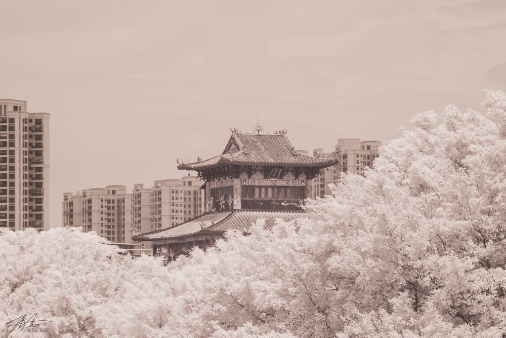 D80改机，720nm，感觉还没学会这个后期调色
