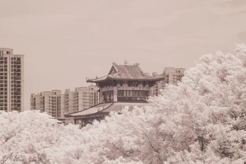 试拍红外