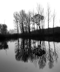 IMG_7109-1