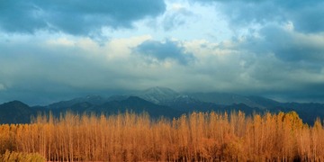 IMG_7256-1