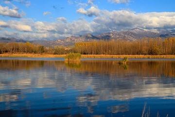 IMG_7312-1