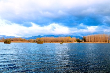IMG_7237-1