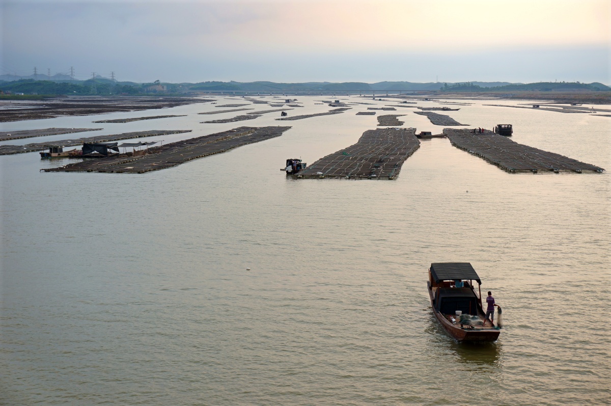 钦州茅尾海风光