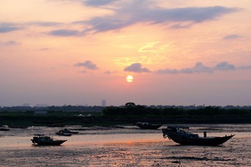 湿地日出