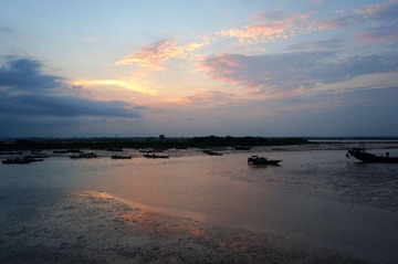 湿地晨光
