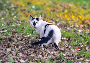 791