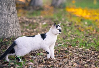 788