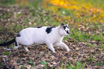 789