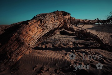 5B997598-F70F-418F-A775-4467EC90F57B/L0/001