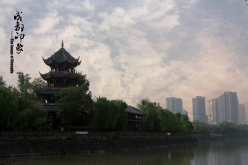 IMG_0221.jpg