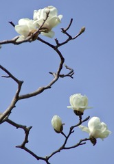 E7EE770B-8EBF-45AB-BB54-08E8011E4C75/L0/001