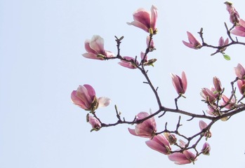 3E0EBF4C-277D-444F-95E6-7F42BC9DBFB9/L0/001