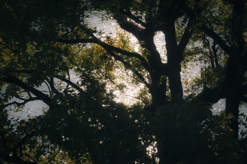189025