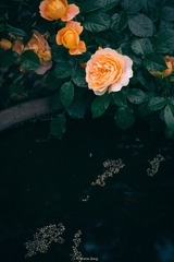147622
