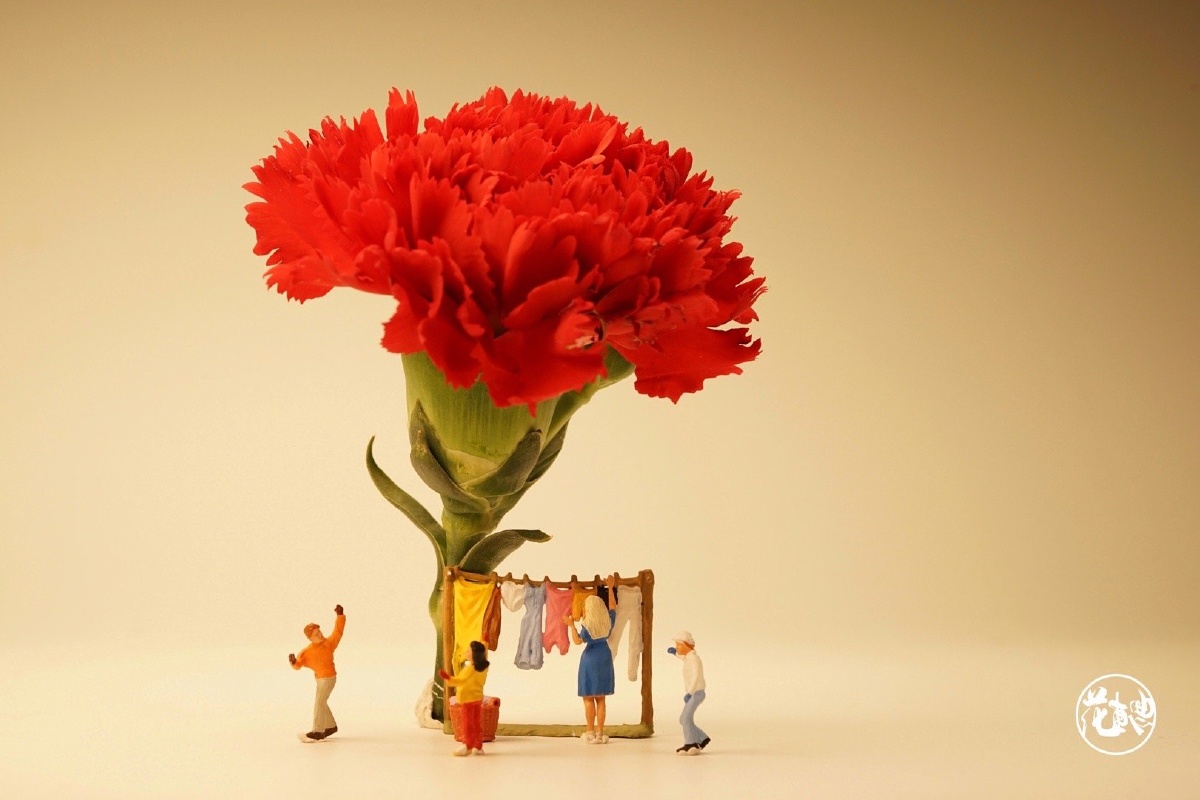 昨天晚上拍的母亲节照片