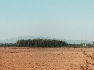 4370654