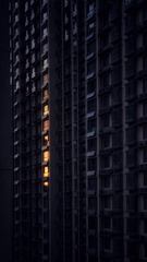 4508378