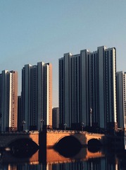 4384449