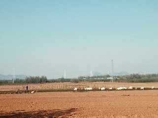 4370650