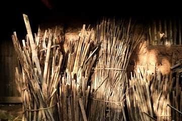 IMG_1554_