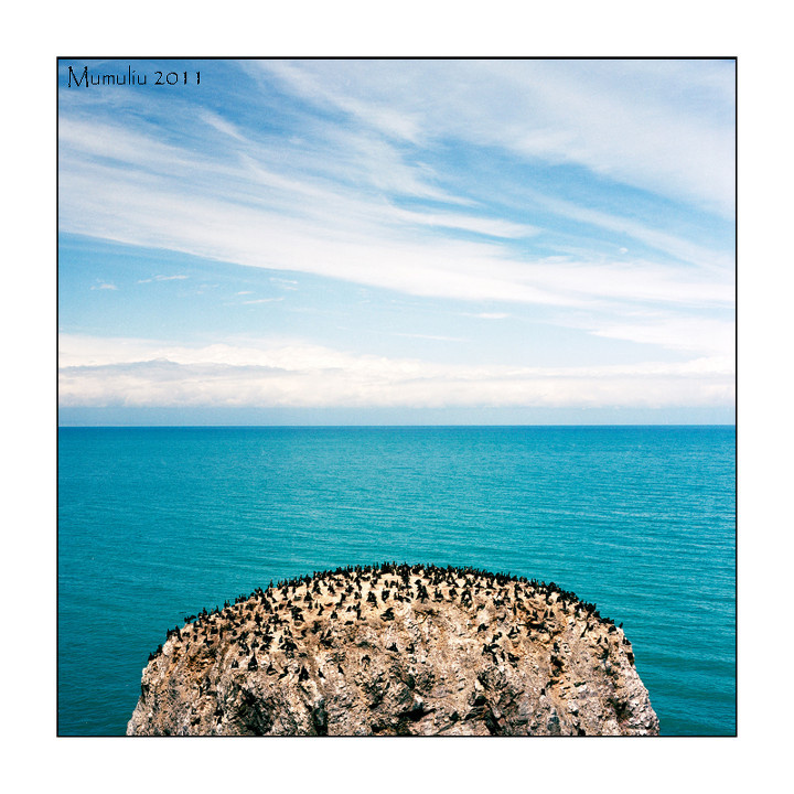 青海湖鸟岛<br />
海的感觉。